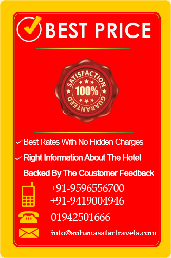 advertisement1
