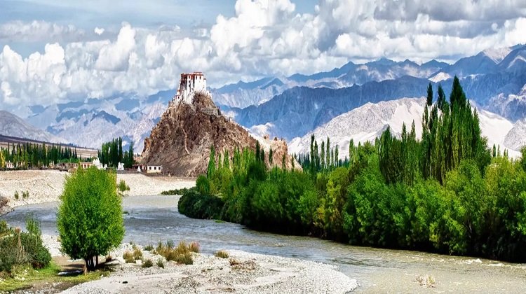 leh15